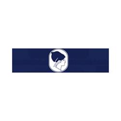 Angiolini Avv. Rossella