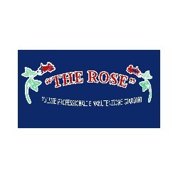 The Rose