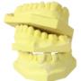 Endodonzia Studio Medico Odontoiatrico Barberis