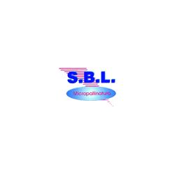 S.B.L.
