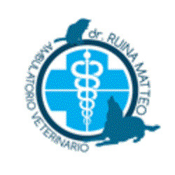 Ruina Dr. Matteo - Studio Veterinario
