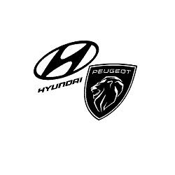 Autoclub Marche Service