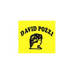 David Pozzi