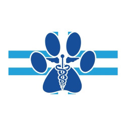 Clinica Veterinaria Magna Graecia