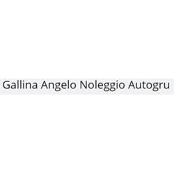 Gallina Angelo Noleggio Autogru