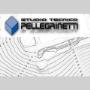 Studio Tecnico Pellegrinetti e Associati
