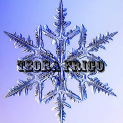 Teora Frigo