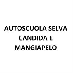 Autoscuola Selva Candida e Mangiapelo