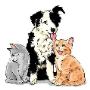 Amici Miei Negozio per Animali