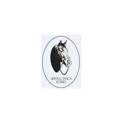 A.S.D. Sidepull Ranch Horses