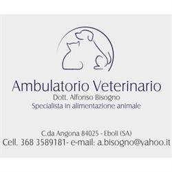 Ambulatorio Veterinario Dott. Alfonso Bisogno