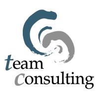 Team Consulting - Stp