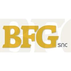 BFG Asfalti