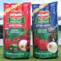 RIPRODUZIONI GONFIABILI
