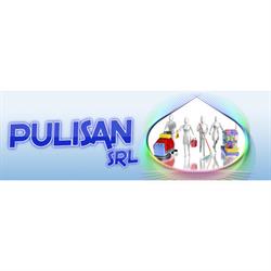 Pulisan Srl