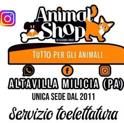 Animal Shop