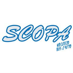 Viaggi Scopa Noleggio Bus  Pullman e Auto con Conducente