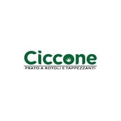 Azienda Agricola Ciccone Pasquale