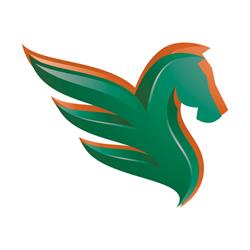 Pegaso Servizi Sas