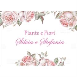 Piante e Fiori Stefania e Silvia
