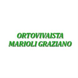 Ortovivaista