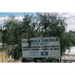 Azienda Agricola Canciulle