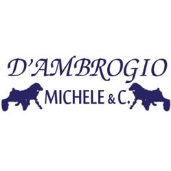 D'Ambrogio Michele e C.