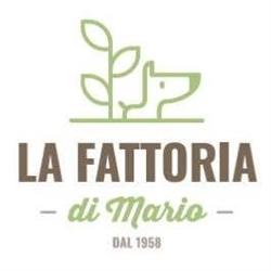 La Fattoria di Mario S.n.c. di Tramontan Alessandro & C.