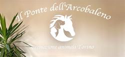 Il Ponte dell'Arcobaleno Cremazione Animali Torino