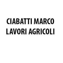 Ciabatti Marco Lavori Agricoli