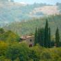 Casale