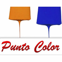 Punto Color