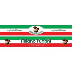 Milano Funghi