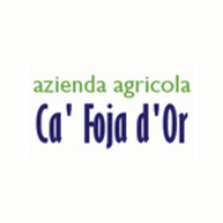 Ca' Foja D'Or