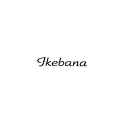 Ikebana Piante e Fiori