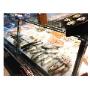 Pesce