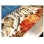 Pesce