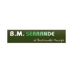 B.M. Serrande - Riparazione Montaggio