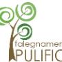 Falegnameria Pulifici