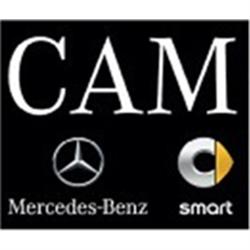 Cam