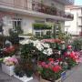 Funeritaly - Agenzia Funebre