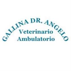 Ambulatorio Veterinario Gallina Dott. Angelo