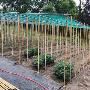 Creazione Orto F.B. Garden