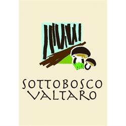 Sottobosco Valtaro