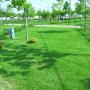 Area Sosta Camper Maremma