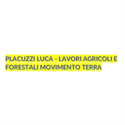 Placuzzi Luca e C Movimento Terra Autotrasporti