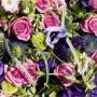 Fiori Freschi