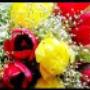 Fiori
