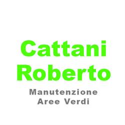 Cattani Roberto