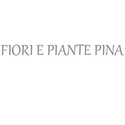 Fiori e Piante Pina di Lucidi Simone